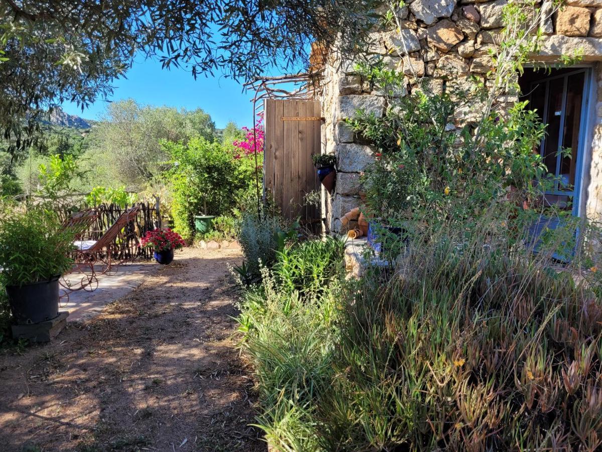 Stazzu La Capretta Farm Camping & Guest Rooms Olbia Exteriér fotografie