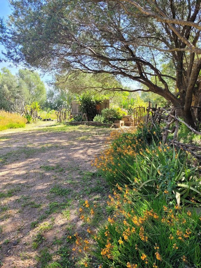 Stazzu La Capretta Farm Camping & Guest Rooms Olbia Exteriér fotografie