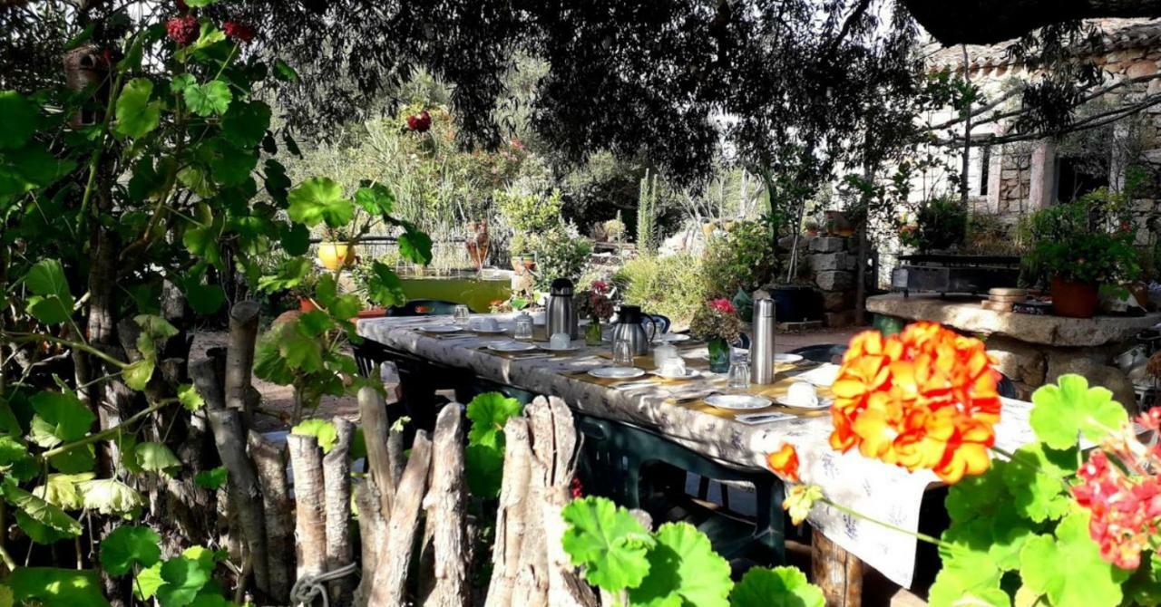Stazzu La Capretta Farm Camping & Guest Rooms Olbia Exteriér fotografie