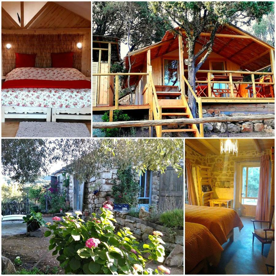 Stazzu La Capretta Farm Camping & Guest Rooms Olbia Exteriér fotografie