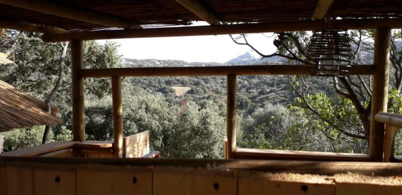 Stazzu La Capretta Farm Camping & Guest Rooms Olbia Exteriér fotografie