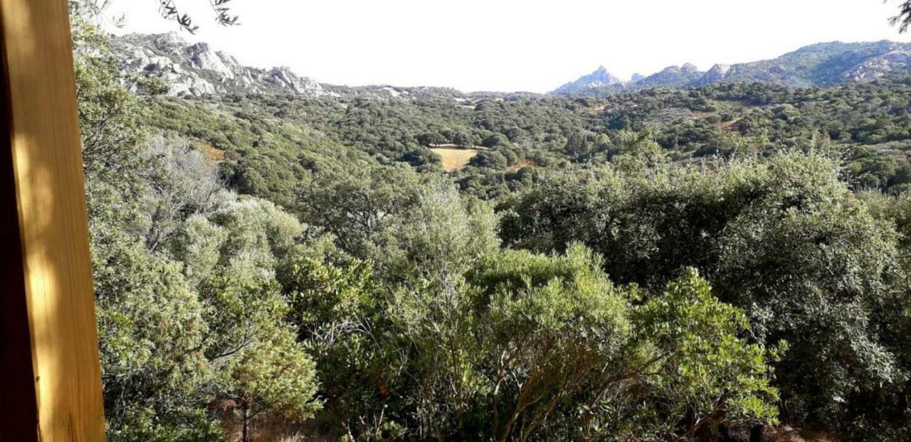 Stazzu La Capretta Farm Camping & Guest Rooms Olbia Exteriér fotografie